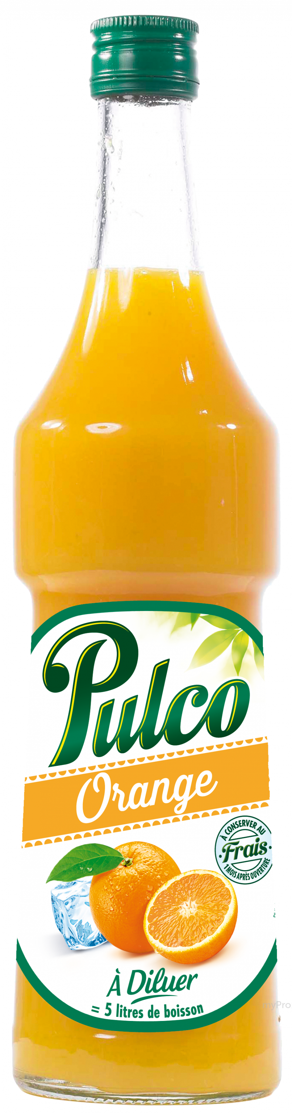 Pulco Pulco orange citron 